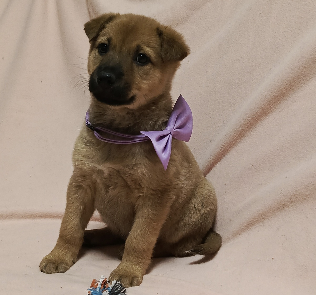 Ну, какая красота 💞