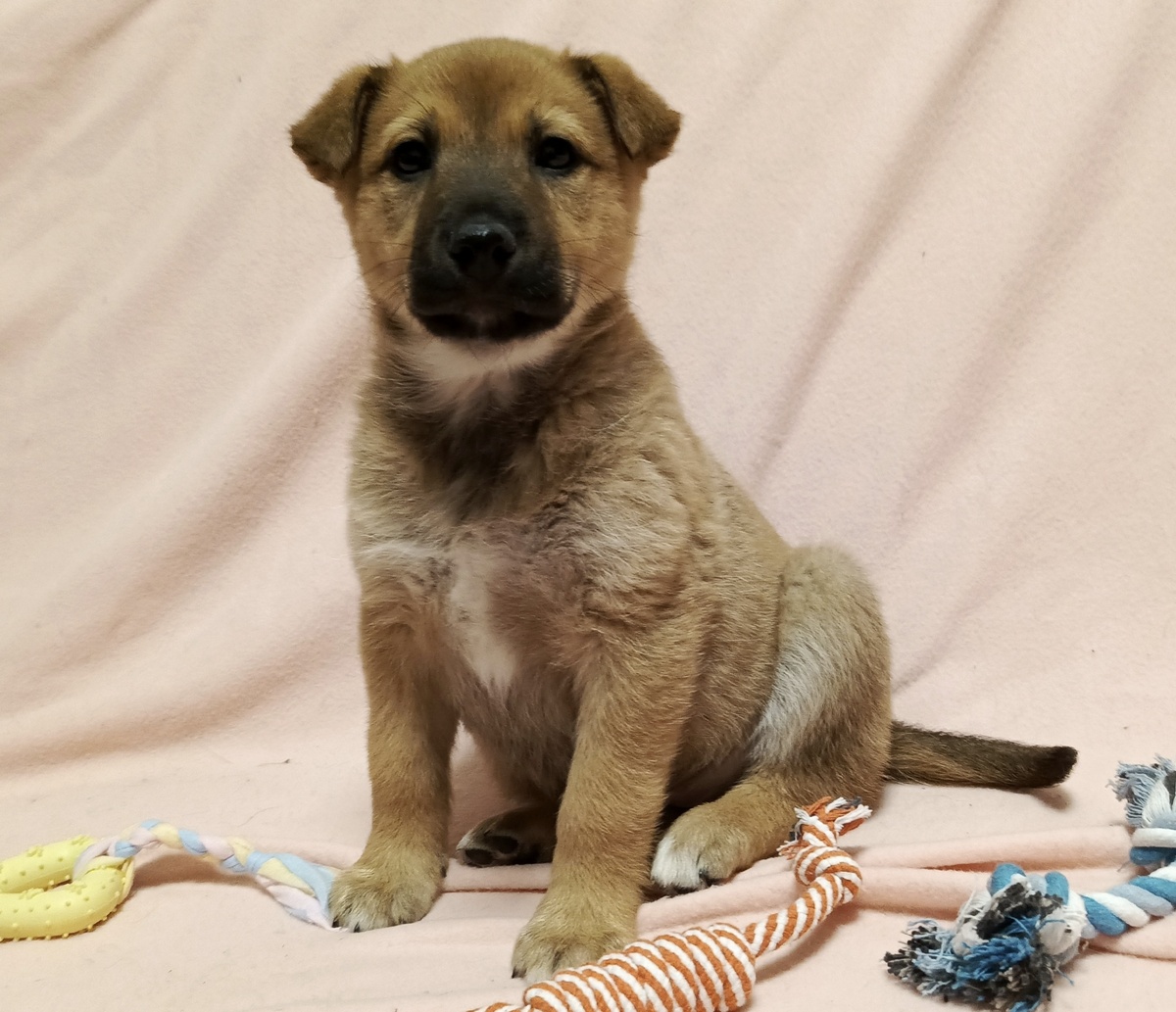 Вторая красота 💞