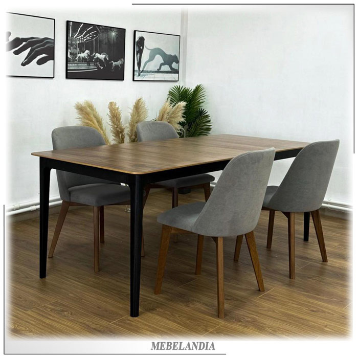 МИР МЕБЕЛИ РОССИИ