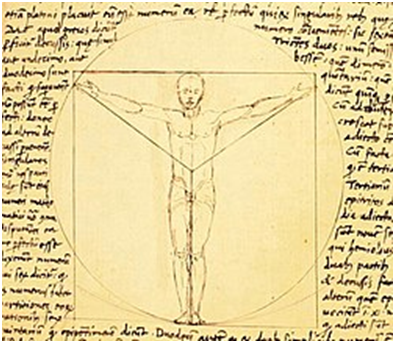  Витрувианский человек прототип работы Джакомо Андреа, 1480-е годы Источник – Яндекс – картинки