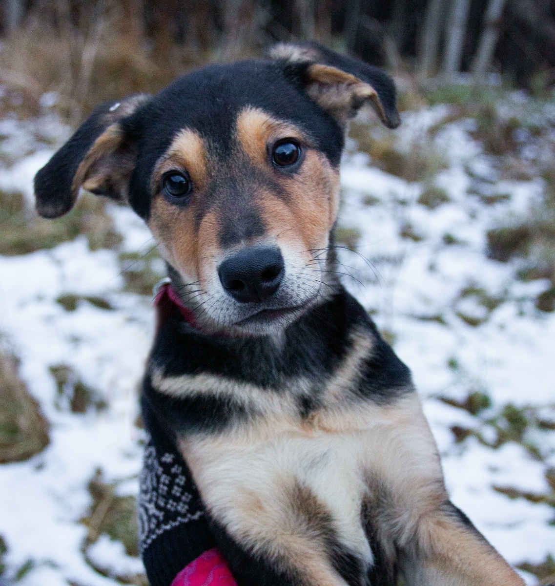 Как можно было предать эти глаза?