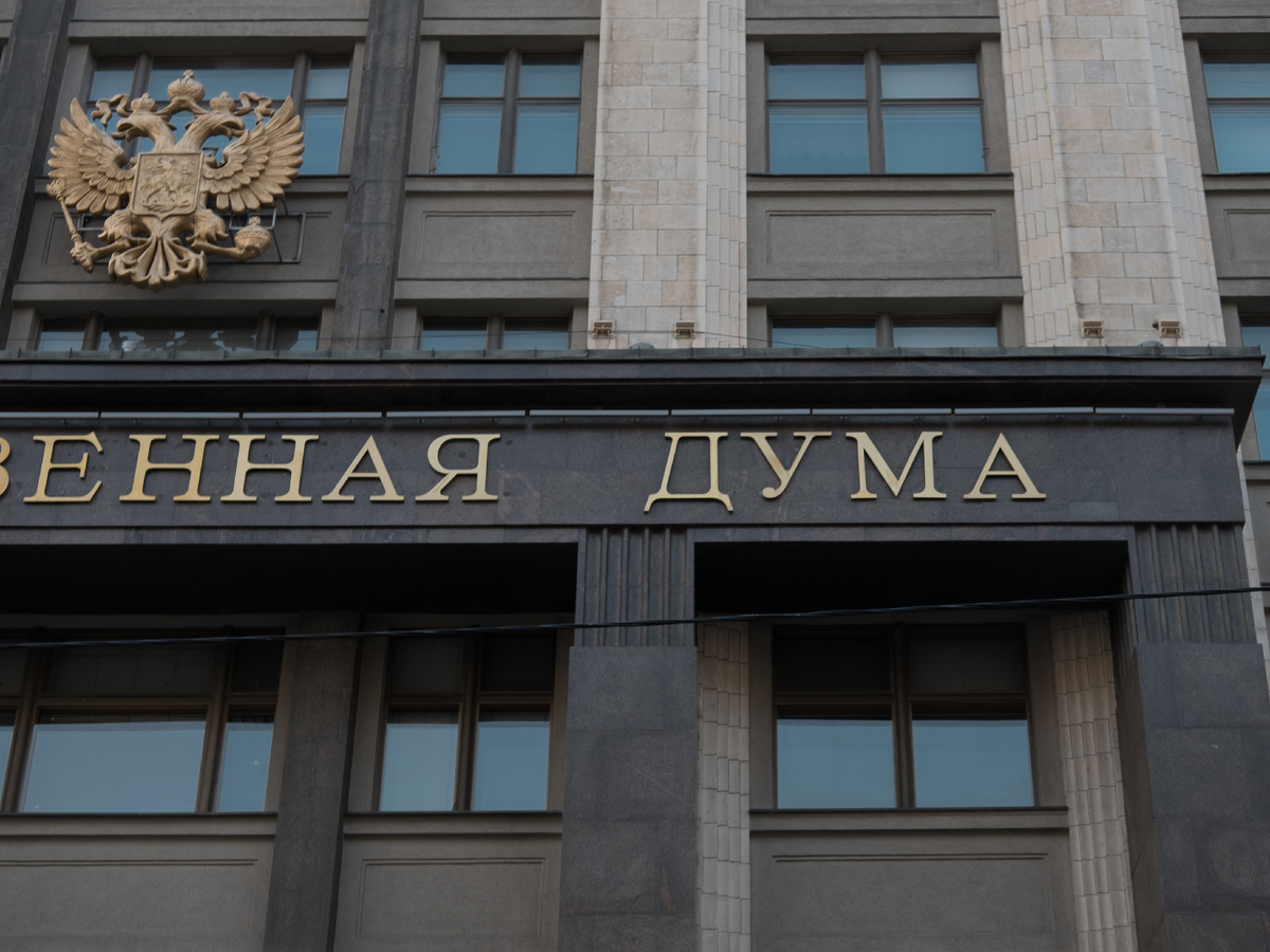 Фото: Дмитрий Каторжнов