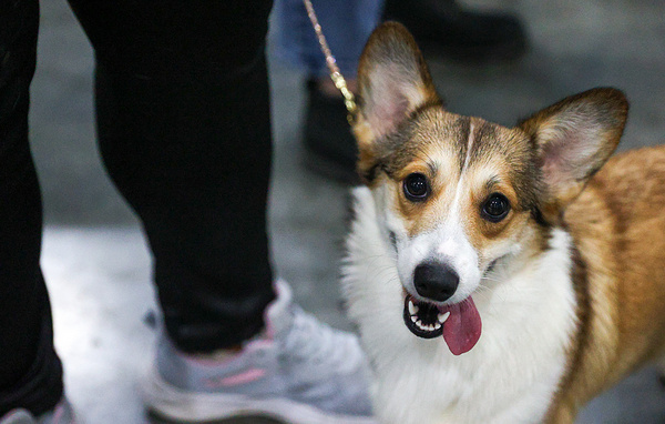 Валерия Калугина/ТАСС