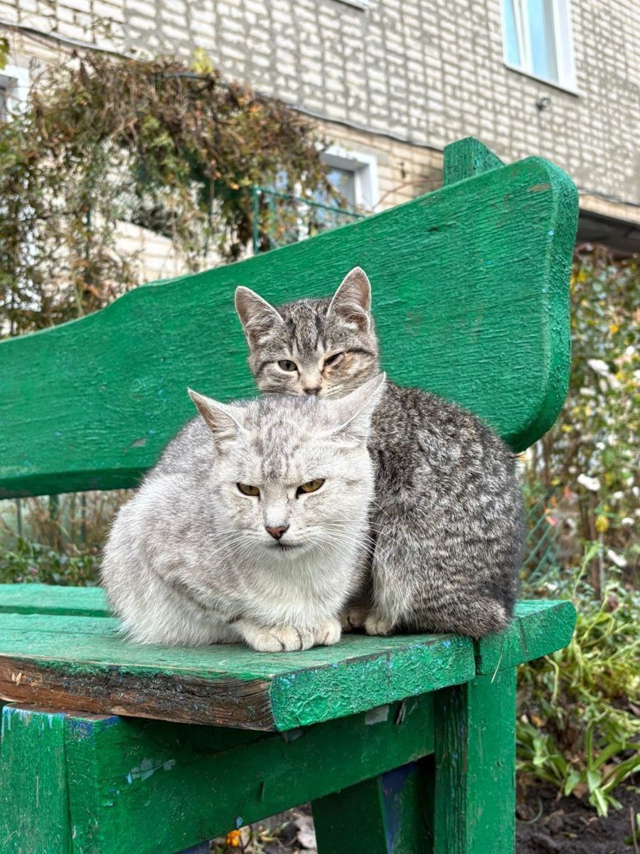 Мама все время защищала своих малышей, как могла. Фото из архива автора