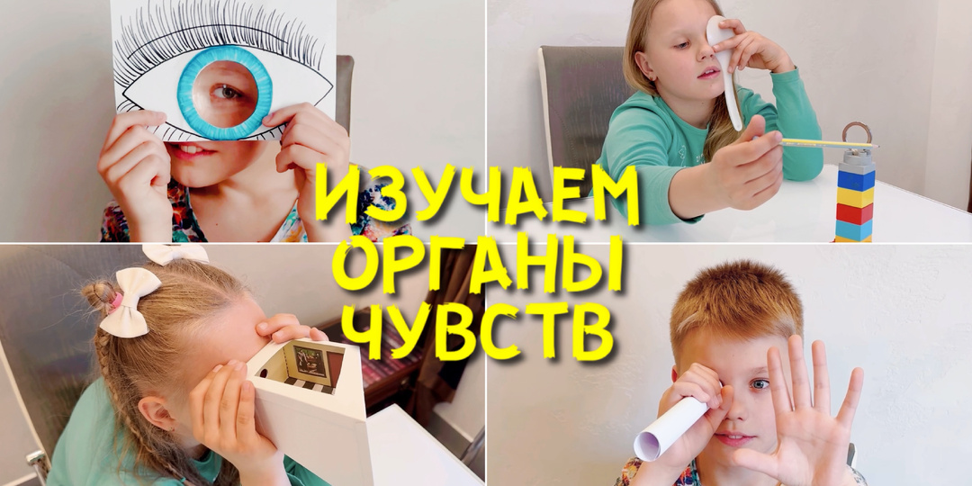5 органов чувств | Научные открытия для детей через опыты и эксперименты