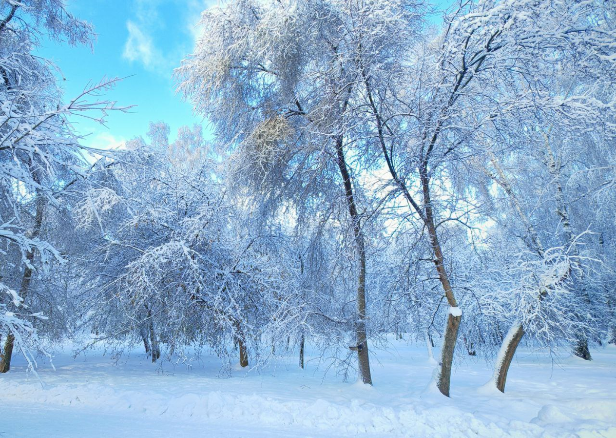 Фото: Вдумчивый сибиряк