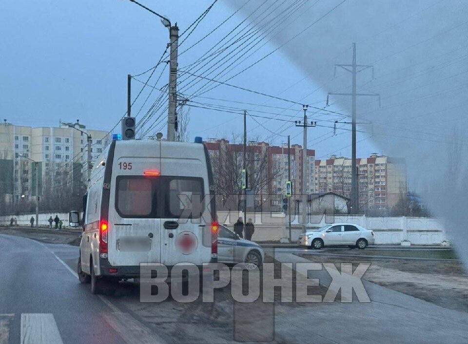     Фото: ВК "Жители Теплака Воронеж"