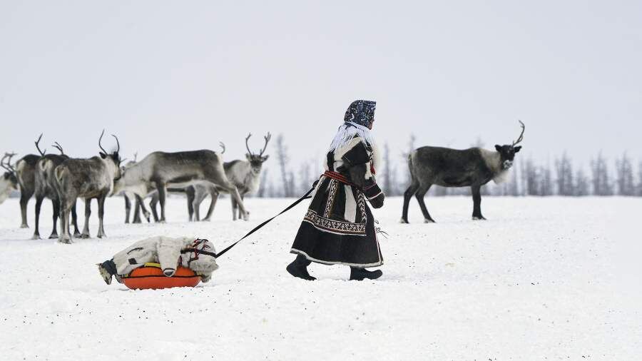    Фото: РИА Новости/Светлана Шевченко