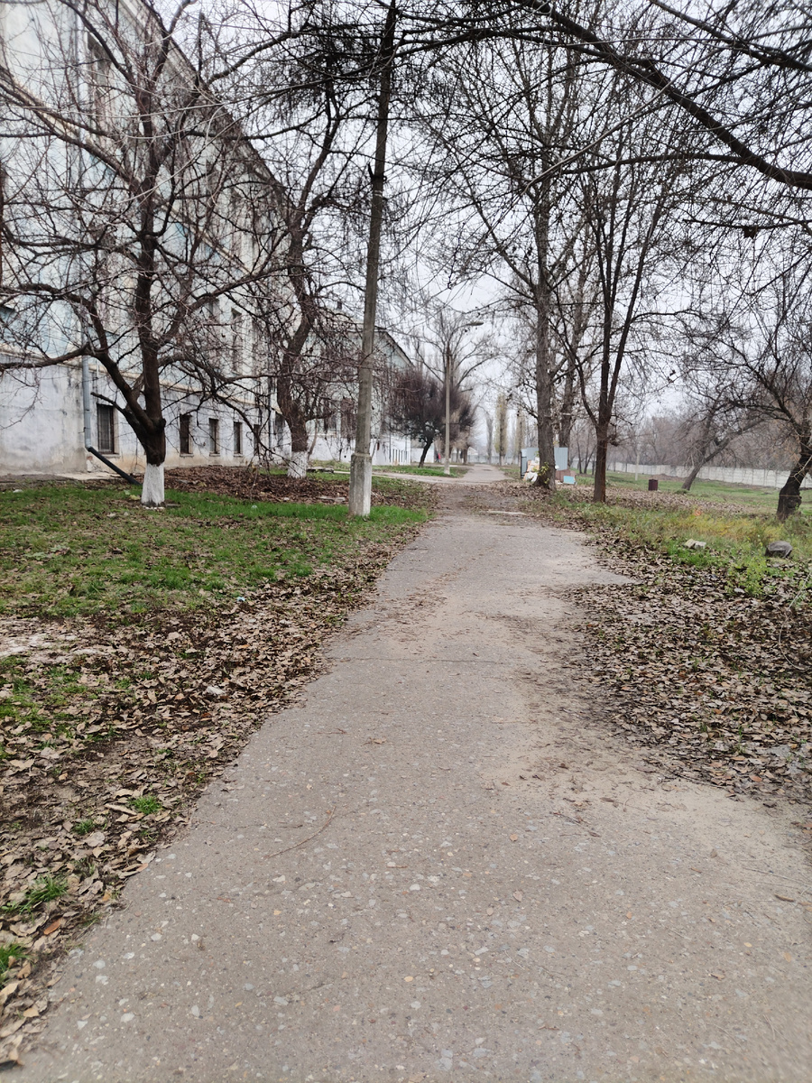 Гуляла днем на территории больницы