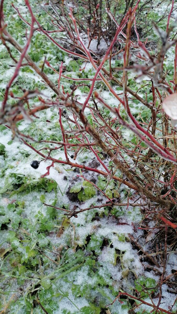 Вот так всё льдом облепило((