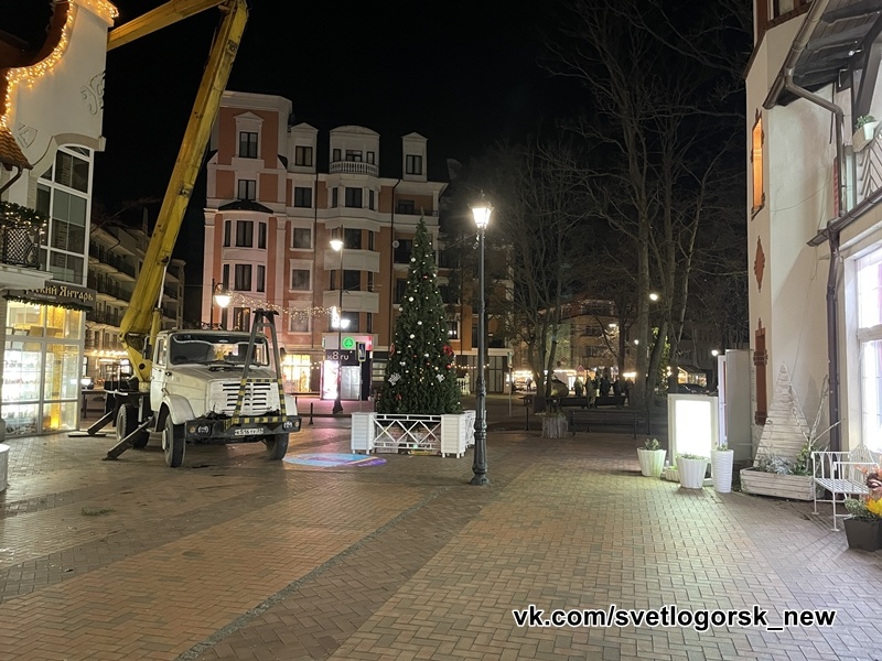 Где в центре курортного Светлогорска найти новогоднюю елку, ноябрь 2025