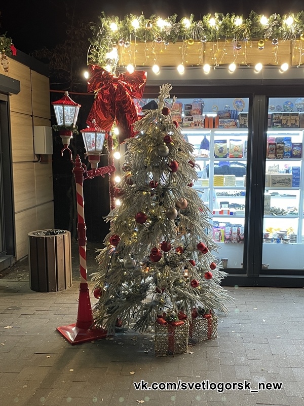 Где в центре курортного Светлогорска найти новогоднюю елку, ноябрь 2025