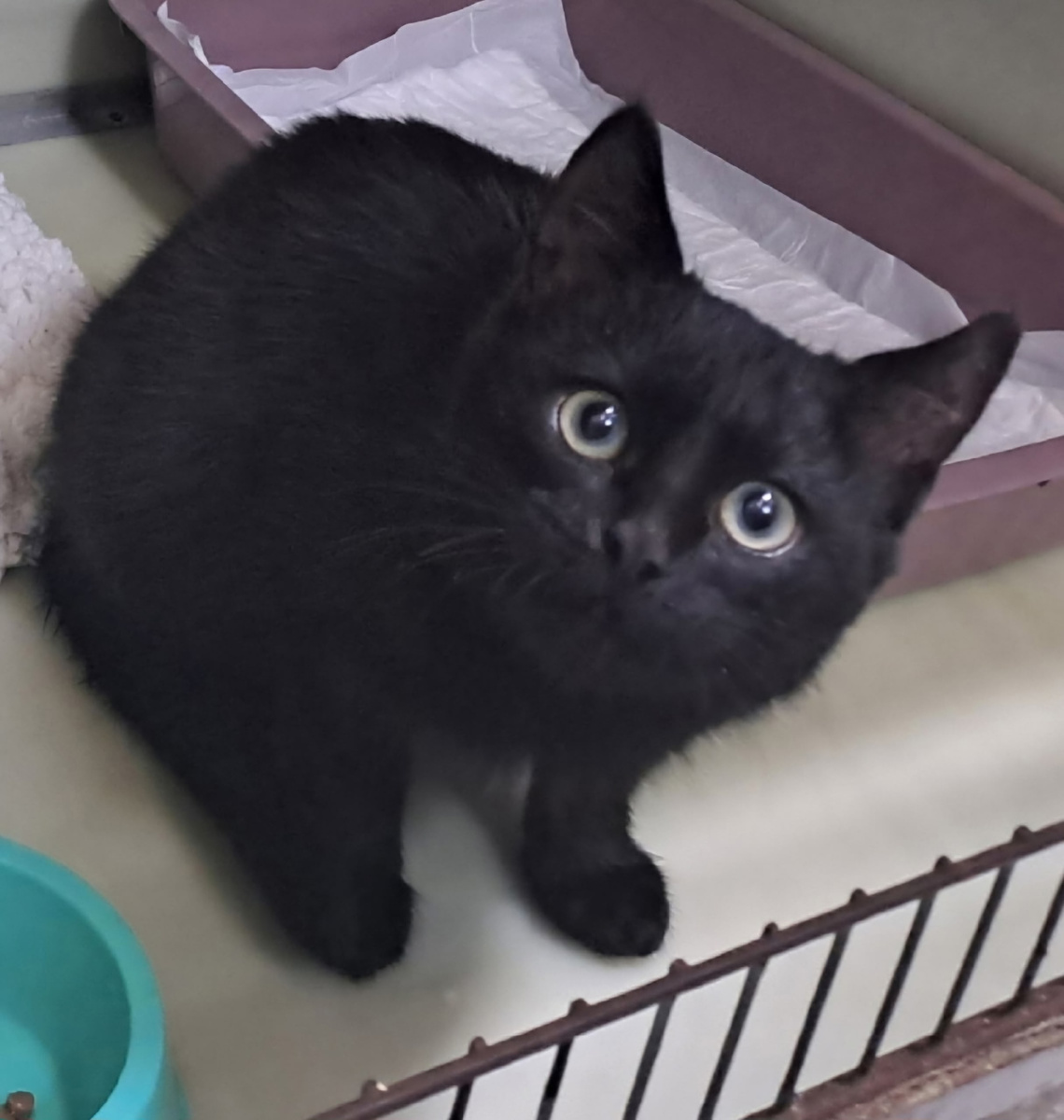 Самайн, 6 месяцев.