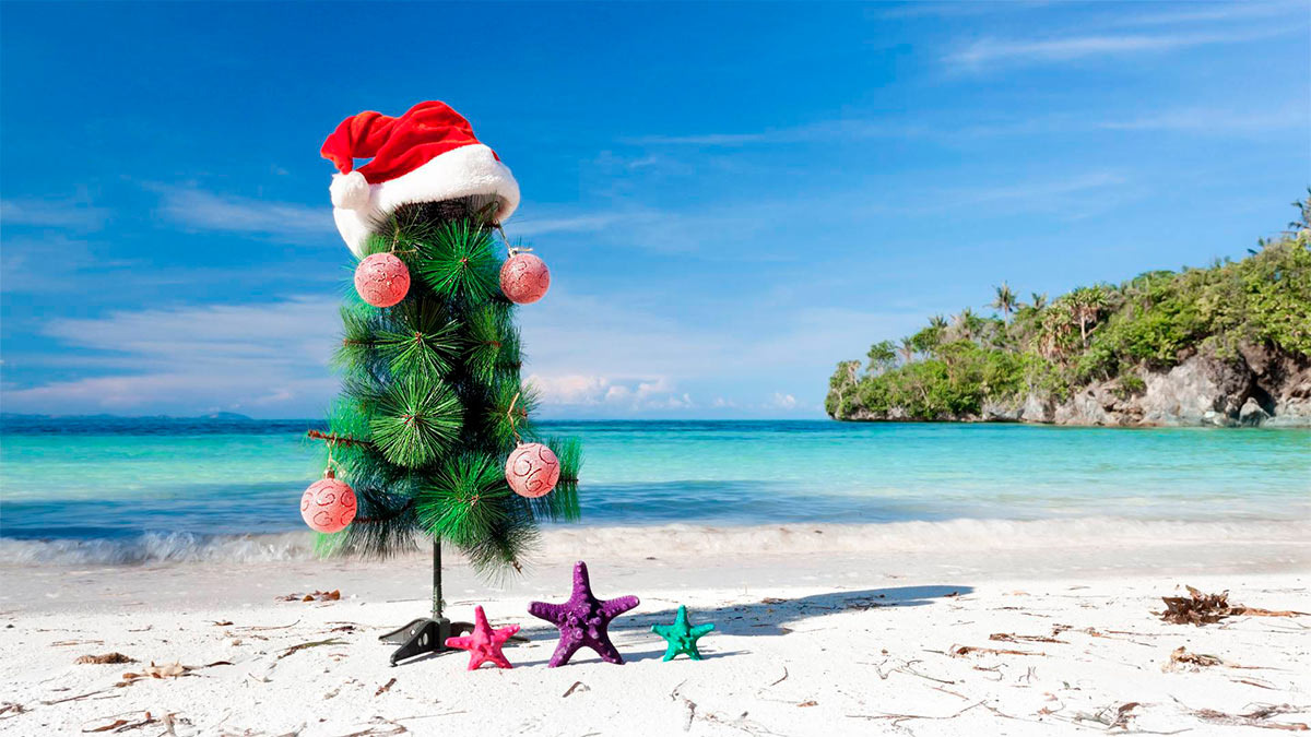 Фото взято из общего доступа интернета 