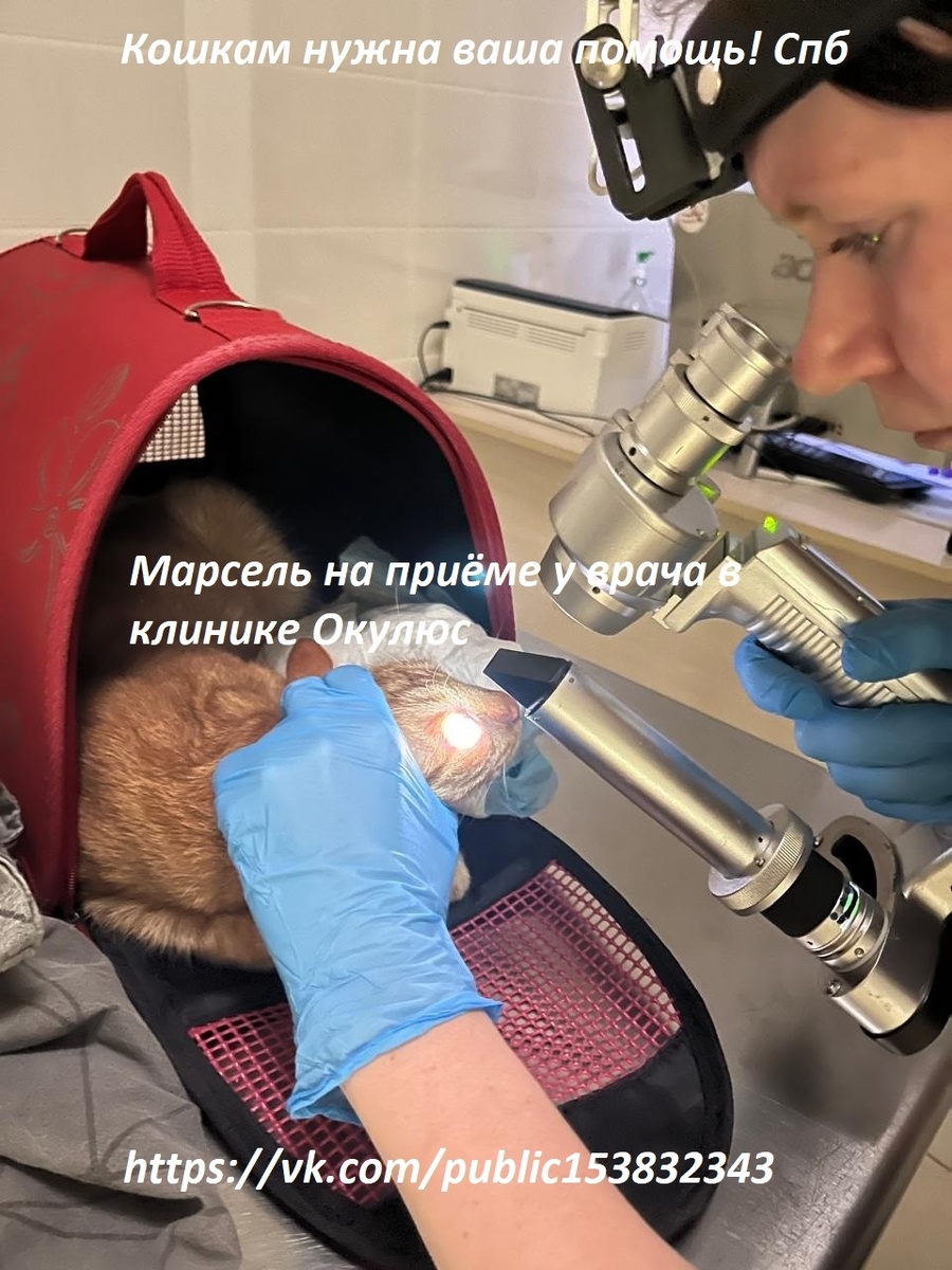 Марсель к Чеку от 11.10.2025 на сумму 1000+1500 наличными=2500 руб. за первичный приём врача офтальмолога Марселю в клинике Окулюс Вега