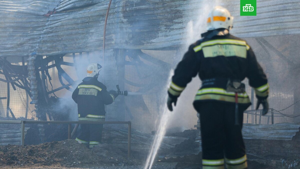    Фото: РИА Новости © 2025, Кирилл Брага