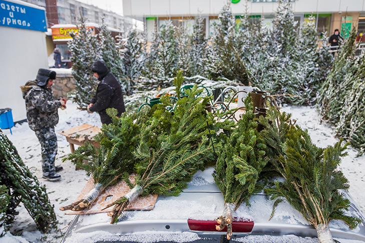    Фото Андрея Заржецкого