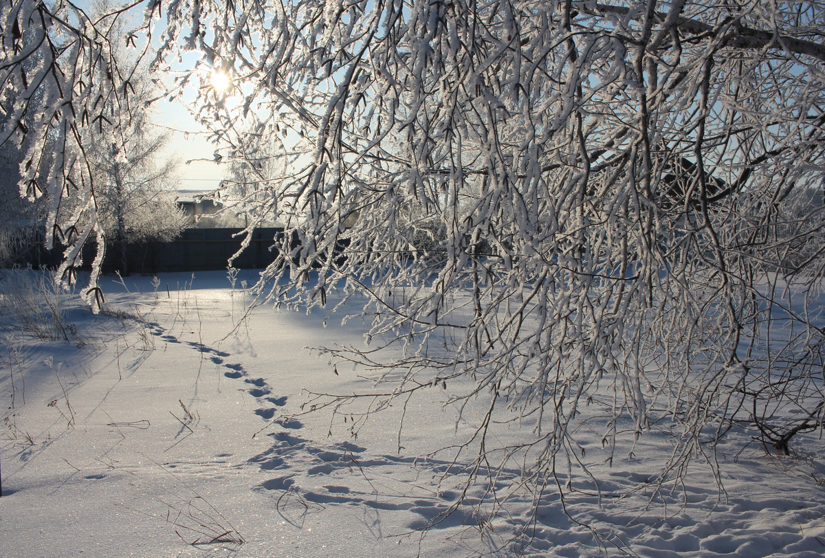 Март на дворе, а мы скоро летим в Питер!