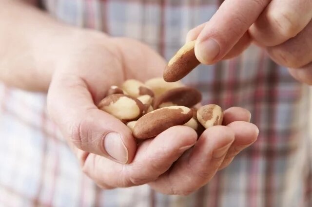    Сколько орехов можно съедать в день?