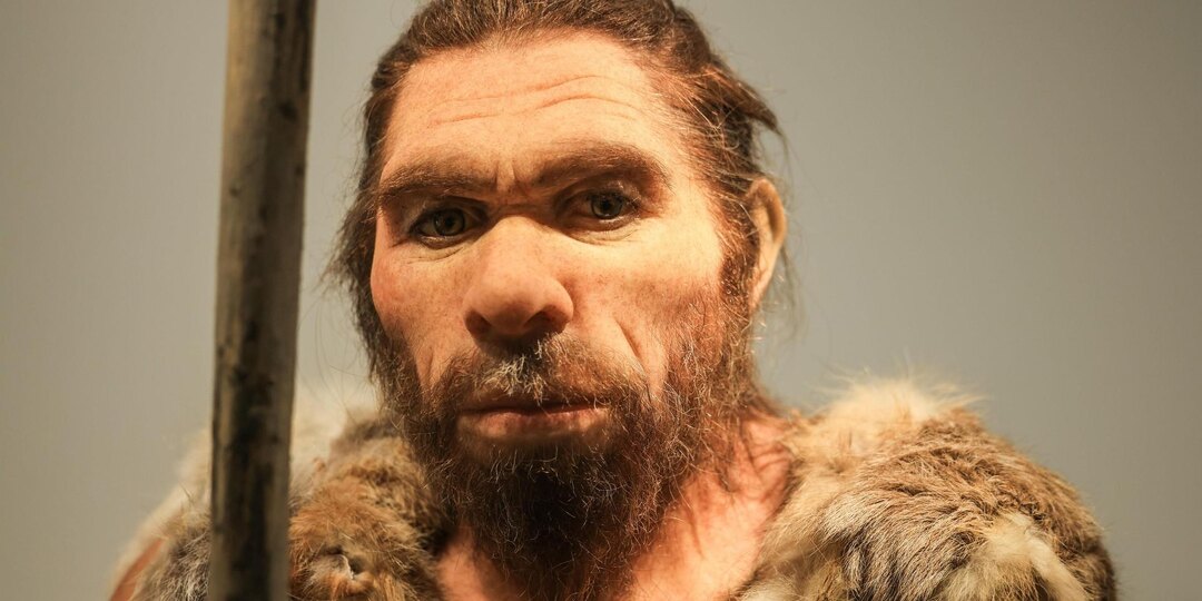 Неандертальцы съели женщин и детей 45 тысяч лет назад в пещере в Бельгии