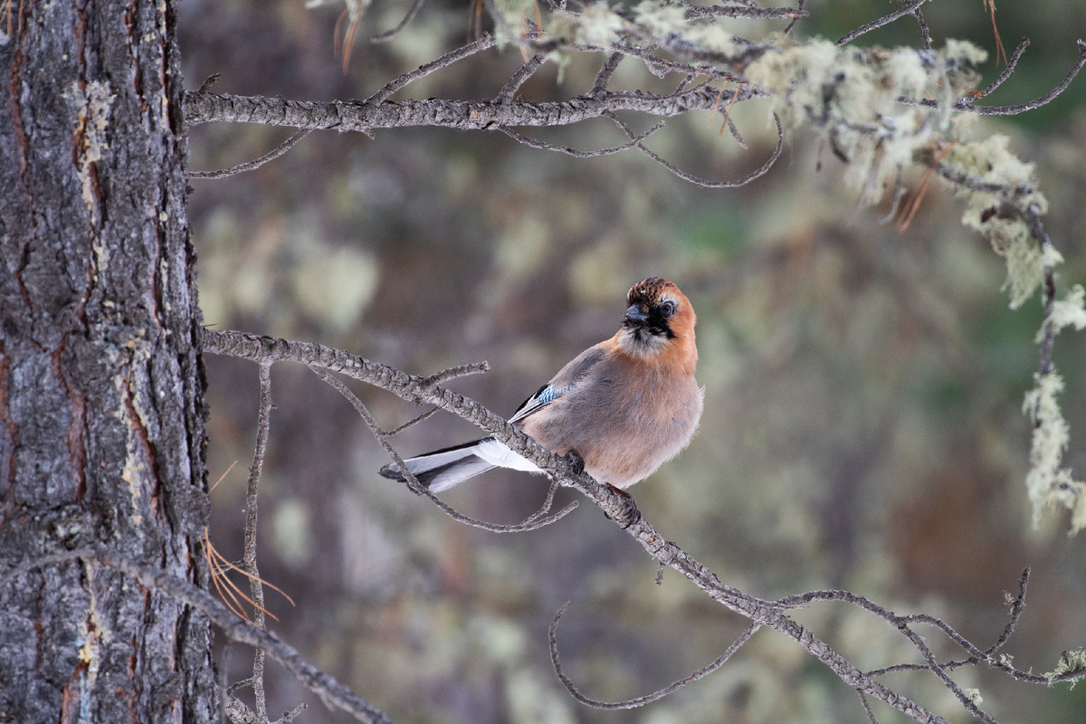 Листайте галерею, чтобы увидеть другие фото. 