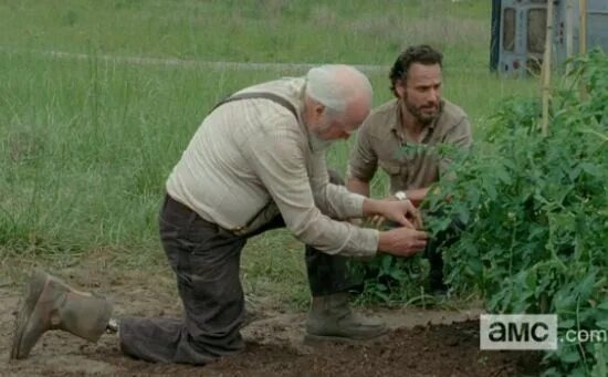 Что они там такое посадили? И как много места позади. Наших бабушек, да на их участок...