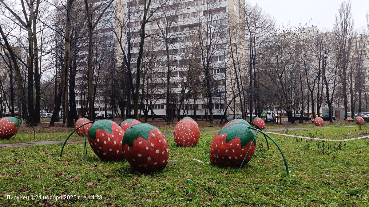 Для настроения. Фото автора. Фото почему то получилось светлее.