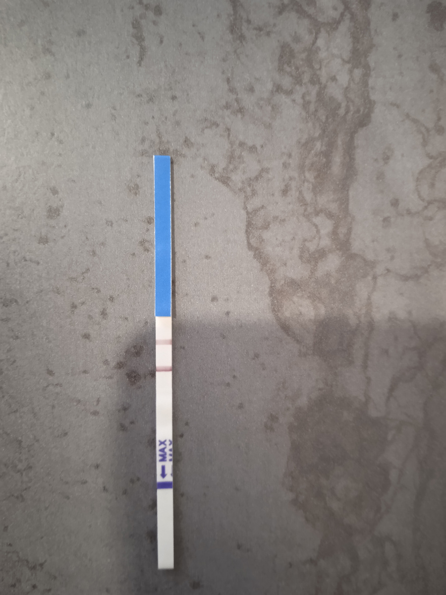 Мой первый тест