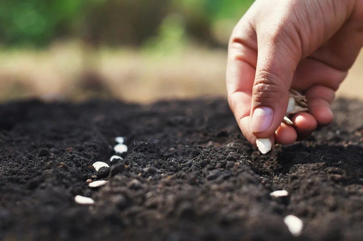    Не первой свежести.
