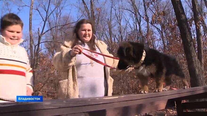    Источник фото: