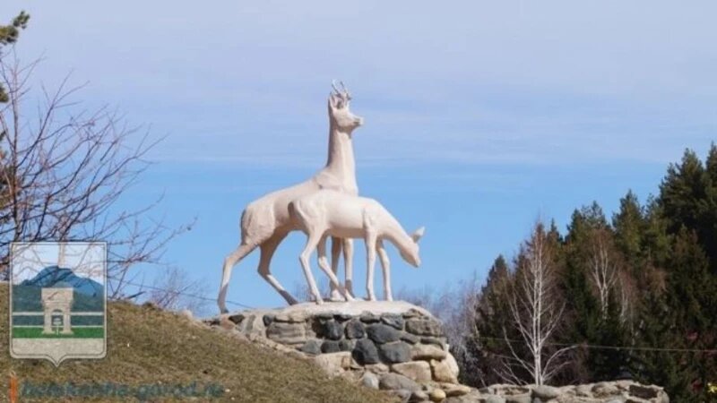     Олени Официальный сайт администрации города Белокуриха