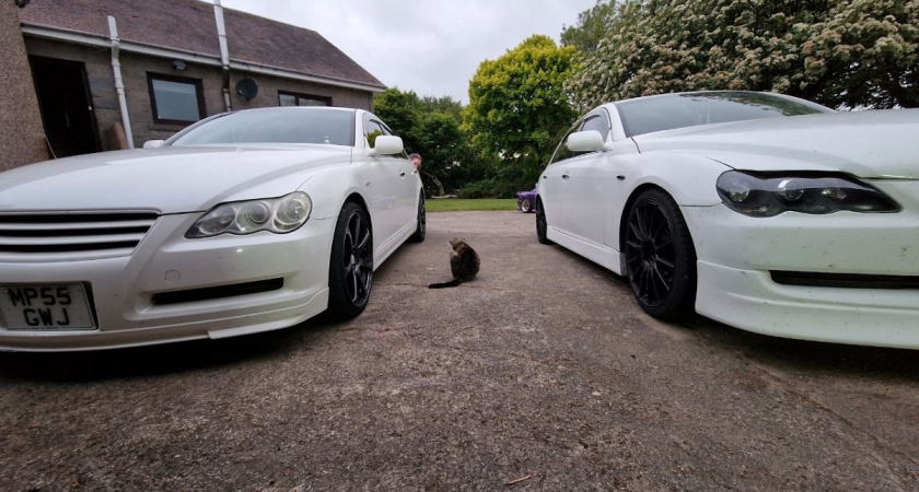    В России хотят изъять часть автомобильных номеров и заставить водителей перерегистрировать автомобили: кто попадет под это правило