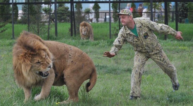 Предисловие автора к книге "ОЛЕГ ЗУБКОВ. Диагноз: "человек-лев"