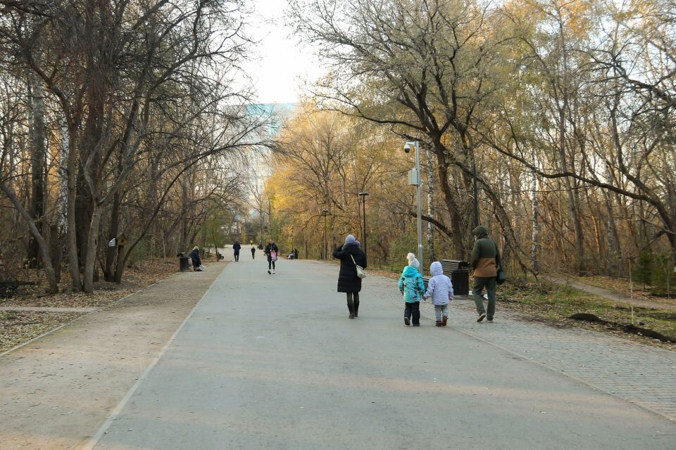    Дорожки парка «Юбилейный». Октябрь 2025 года. Источник: Виталий Барабаш
