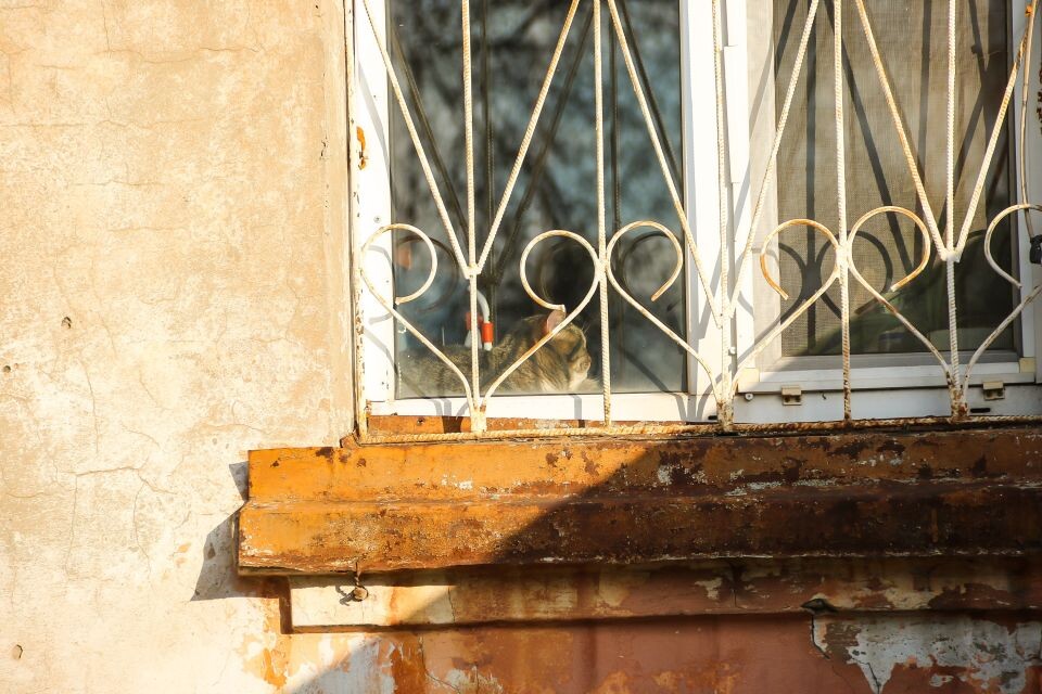    Квартира. Барнаул. Источник: Виталий Барабаш