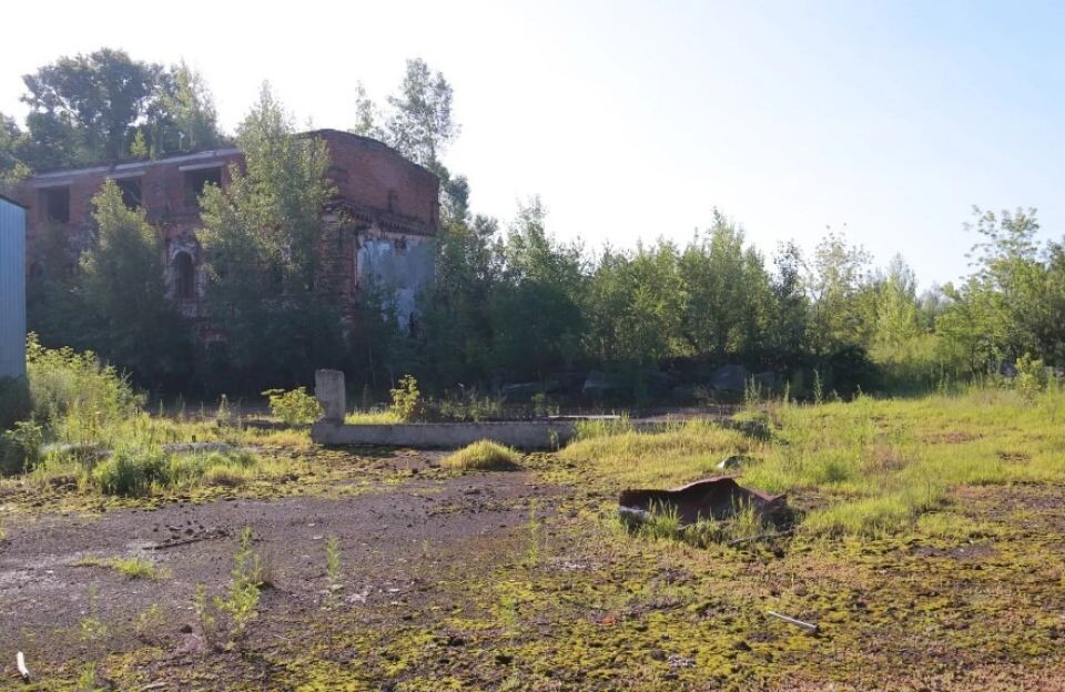    Территория бывшего лакокрасочного завода в Бийске. Источник: Сергей Кулыгин