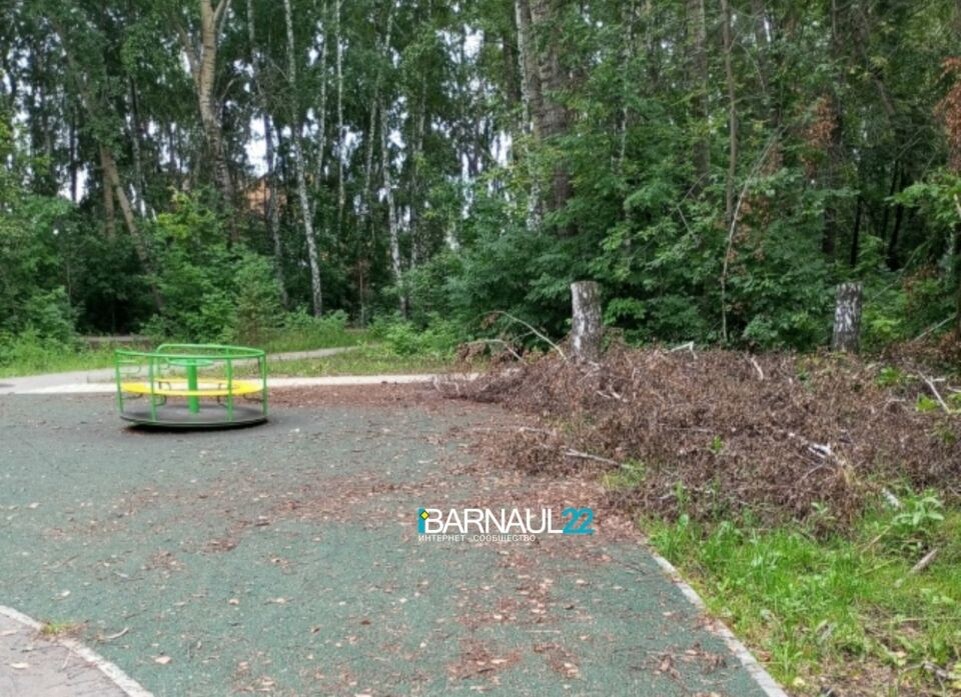    Парк «Юбилейный». Источник: Barnaul22