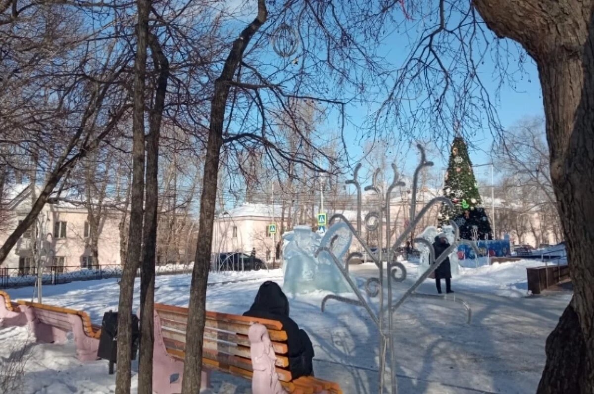    В Хабаровске стартовал районный этап конкурса Лучший зимний двор