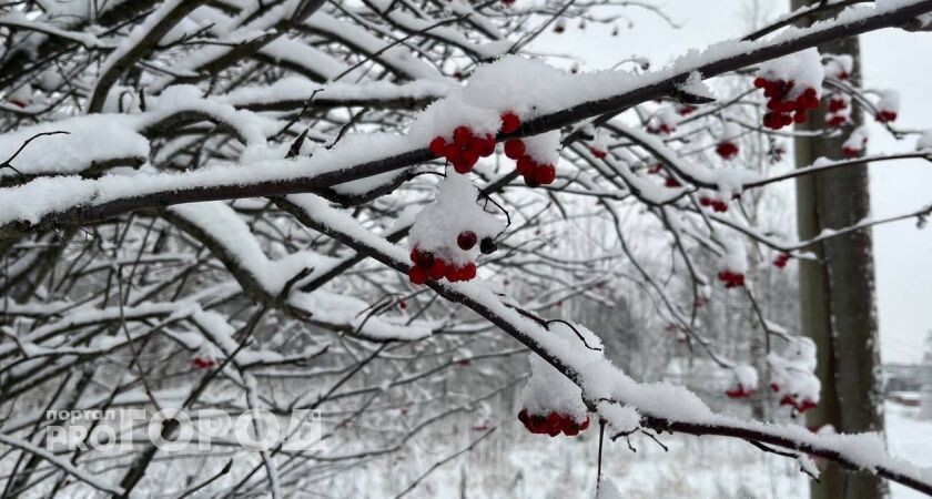    В Коми 25 ноября ожидается снежная и теплая погода
