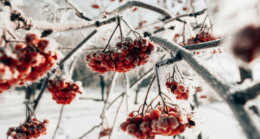    Не бери в долг — скажи доброе: народные приметы и запреты на 26 ноября, день Златоуста
