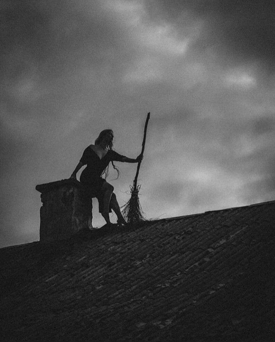 2. - Погнали!