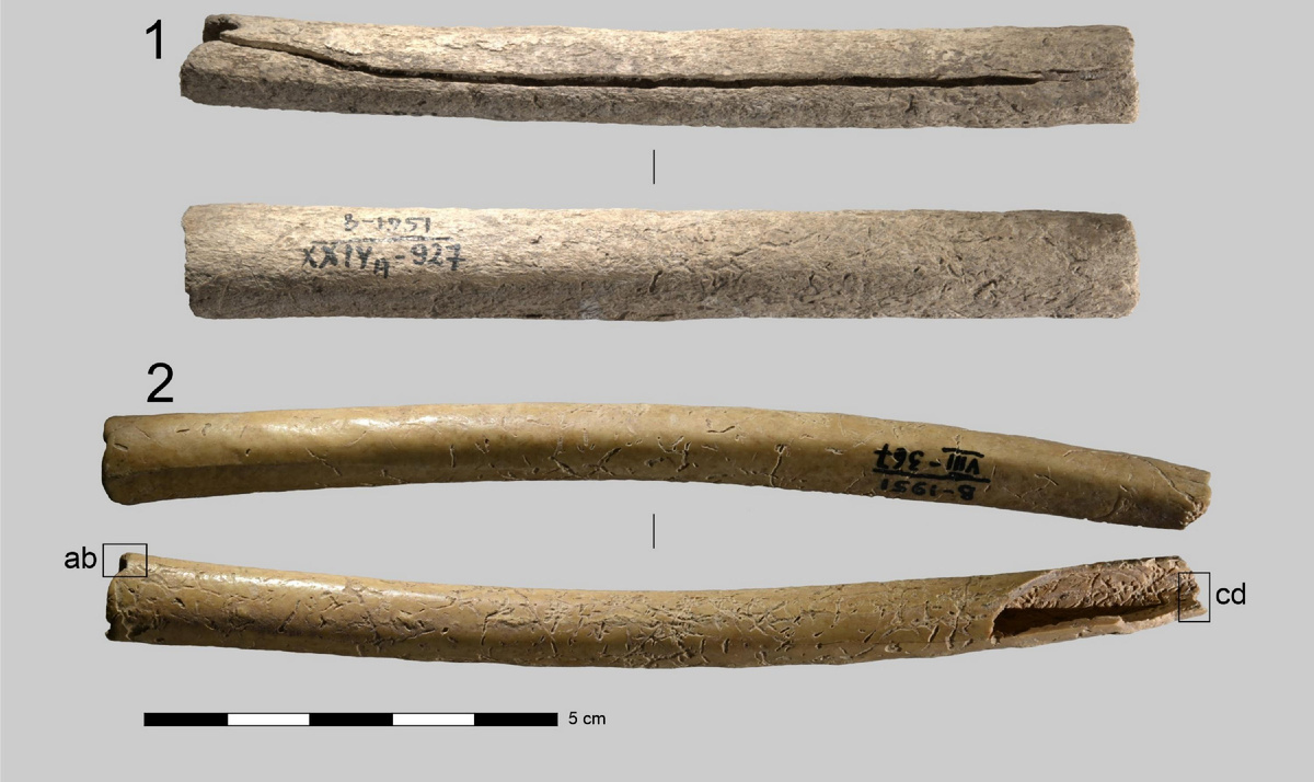 Общий вид костяных игольников. Фото: ИАЭТ СО РАН