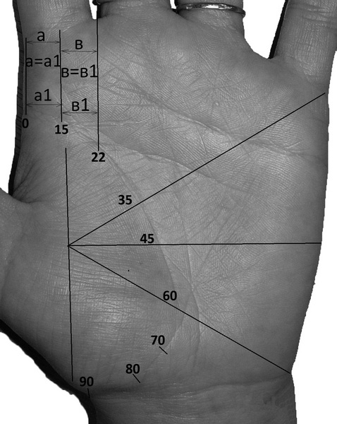 Датировка линии жизни. iknigi.net