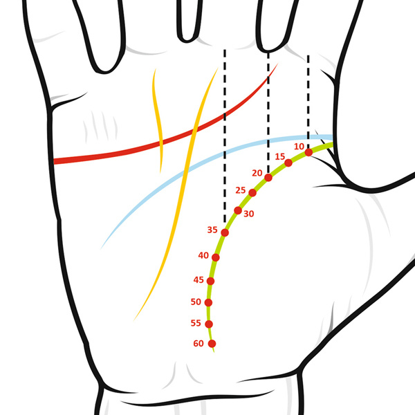 Датировка линии жизни. northnode.ru