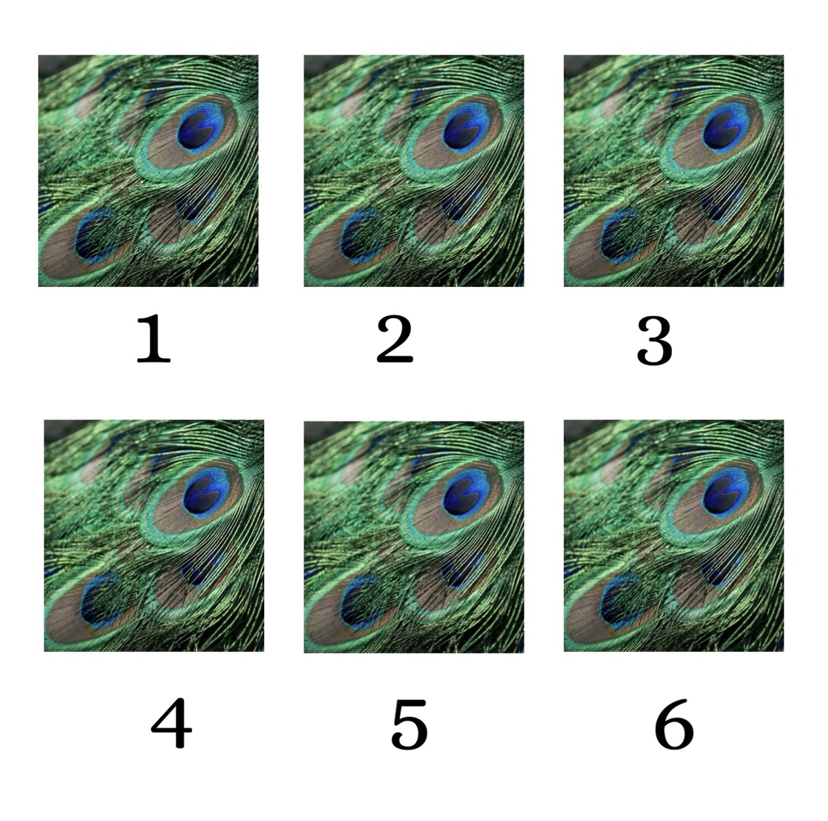 Выбирайте цифру, на которую упал взгляд первым. Эта карта и будет подсказкой вам сегодня 