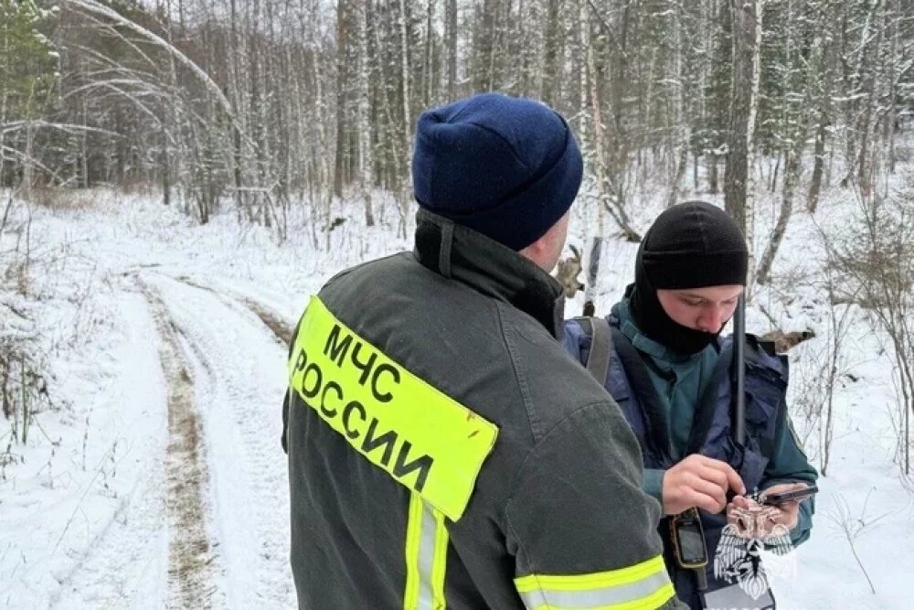    Полиски Усольцевых Фото: ГУ МЧС России по Красноярскому краю