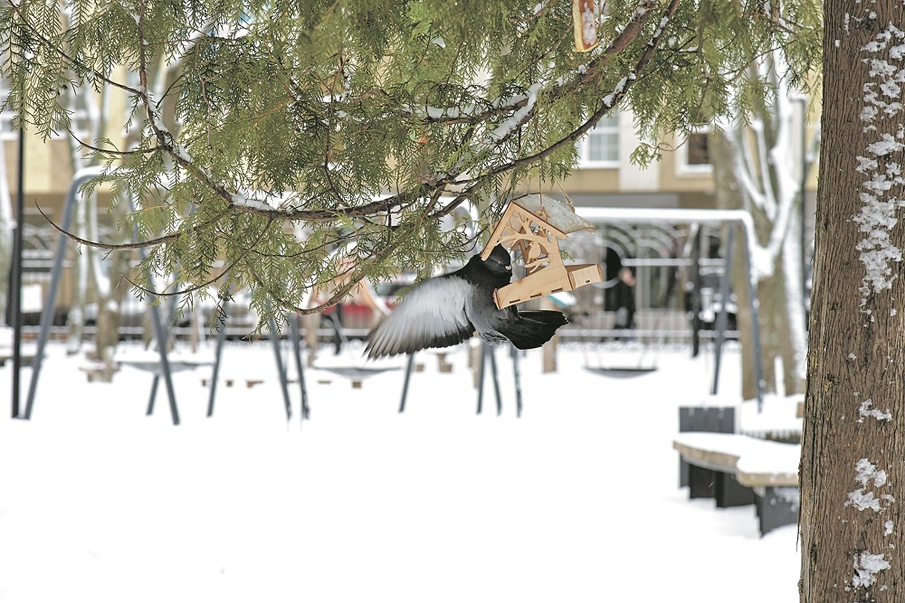     Фото: Виталий ГАРКУША