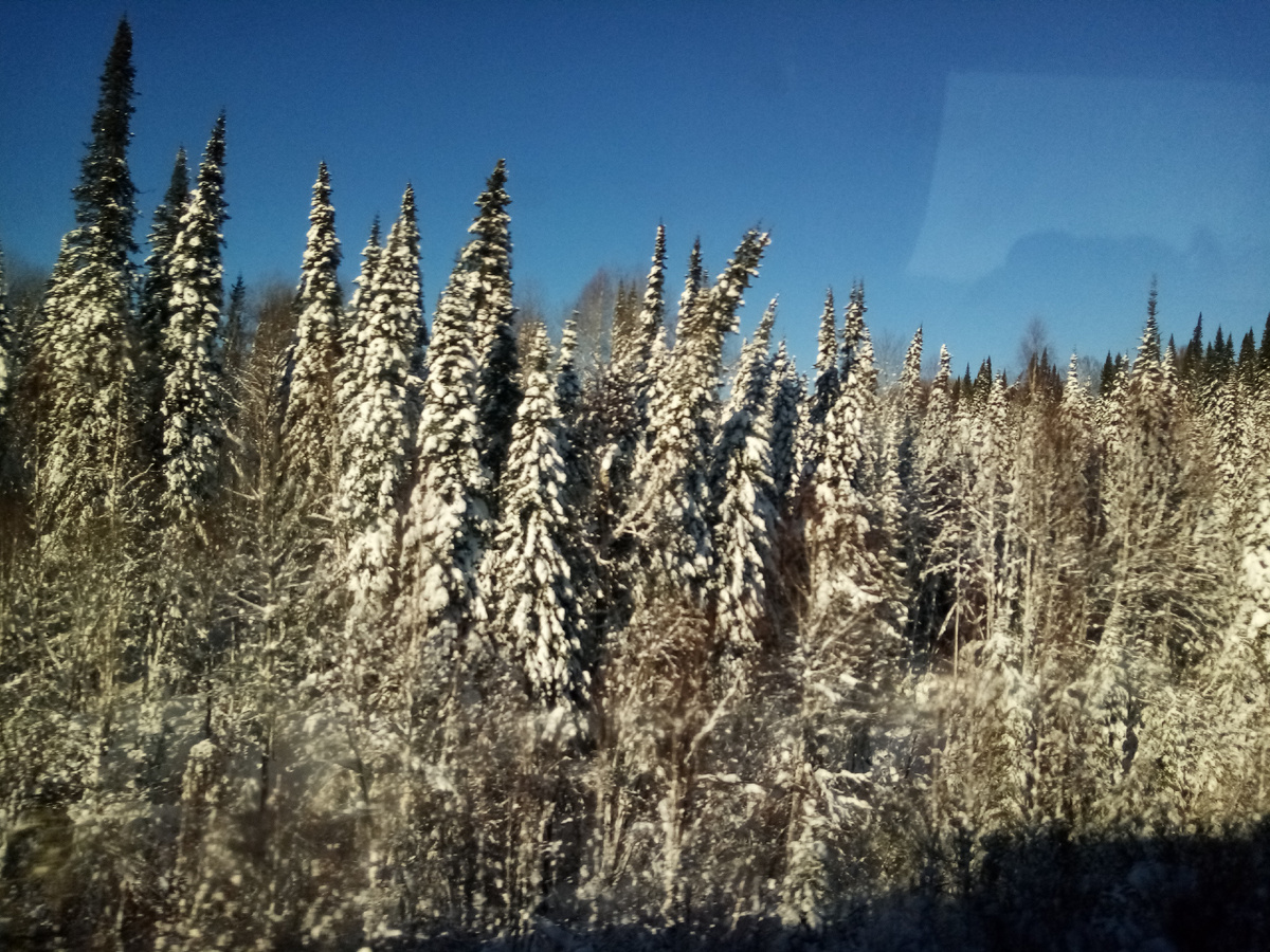 Фото Ольга Шадрина