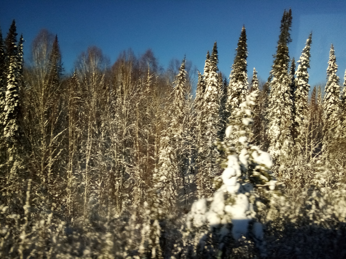 Фото Ольга Шадрина