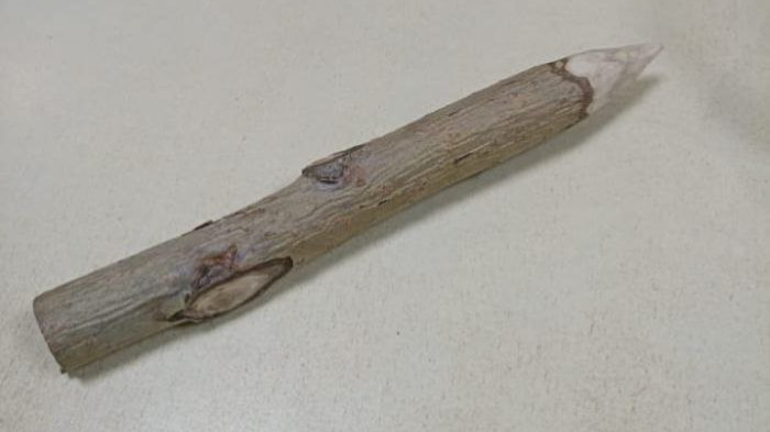    пресс-служба судебных приставов